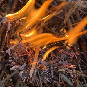 Meet your Posher, Riley